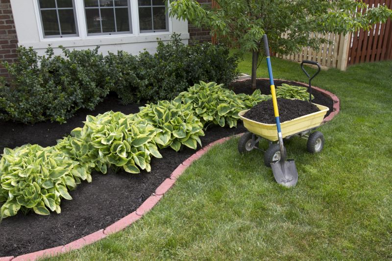 Clean Yard with Fresh Mulch