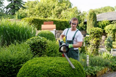 Lawn and Garden Cleanup
